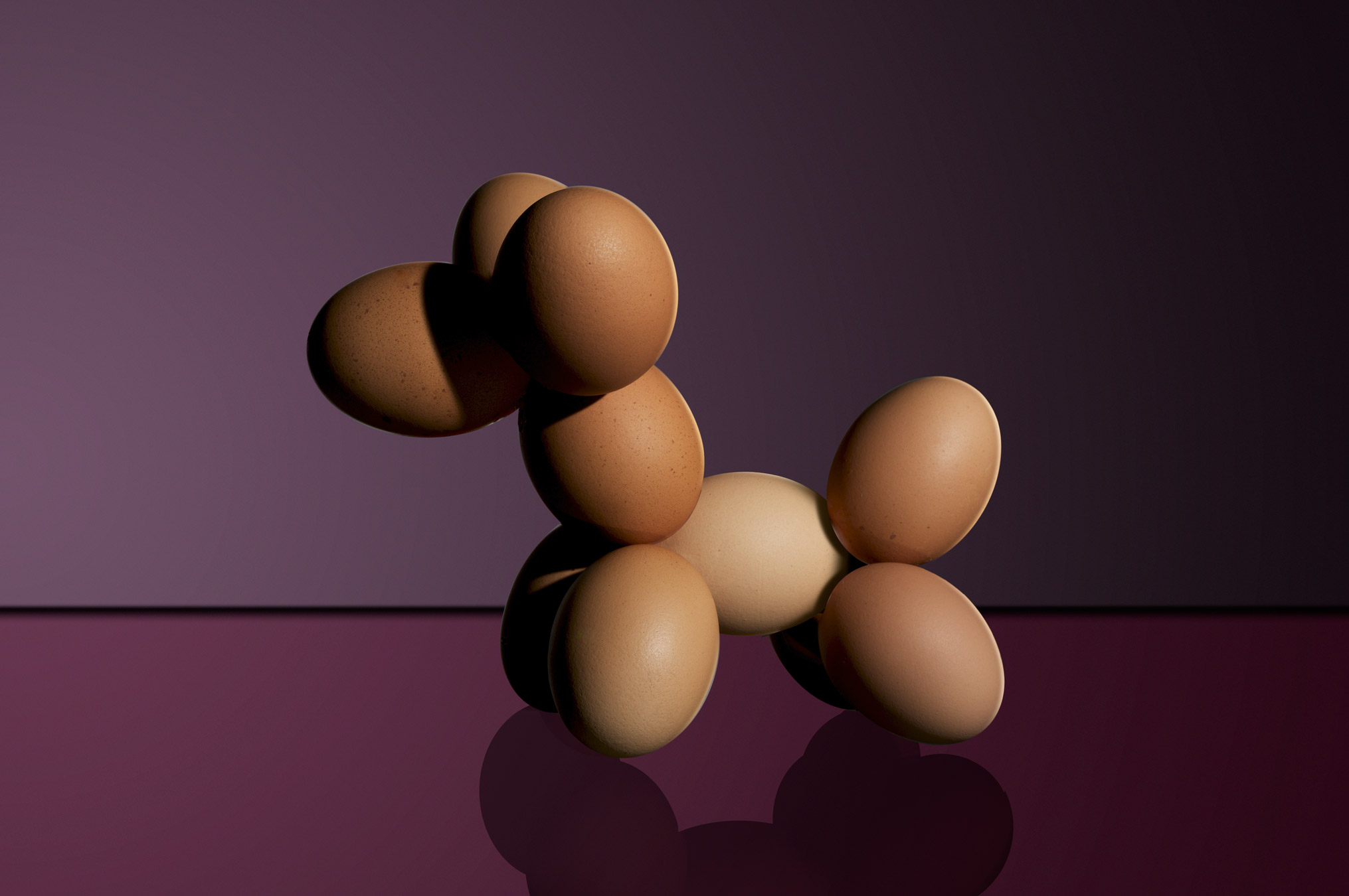 Conceptual_0104
