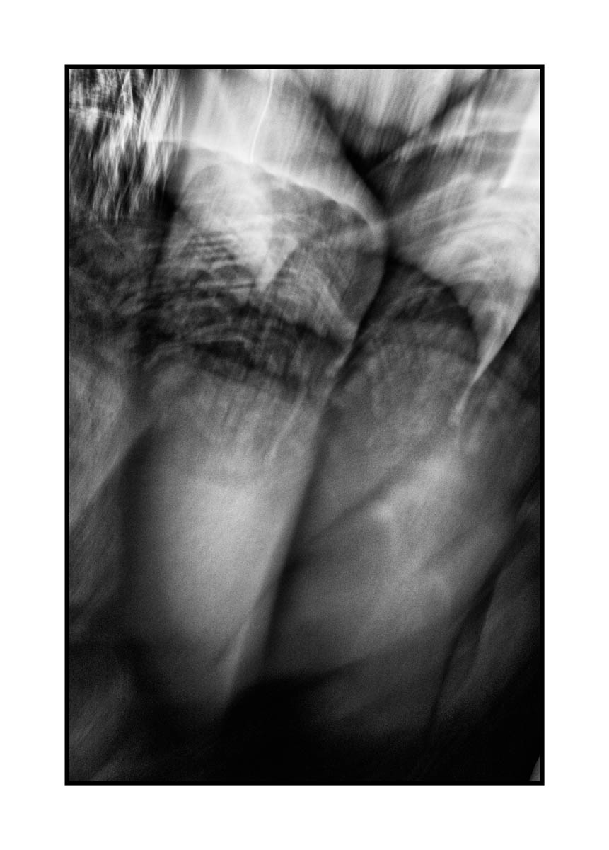 0012img08PZZ